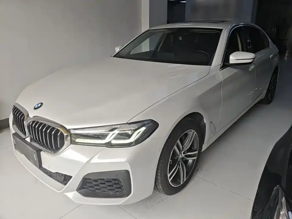BMW 5 Series 530Li Leading M Sport Package 2021