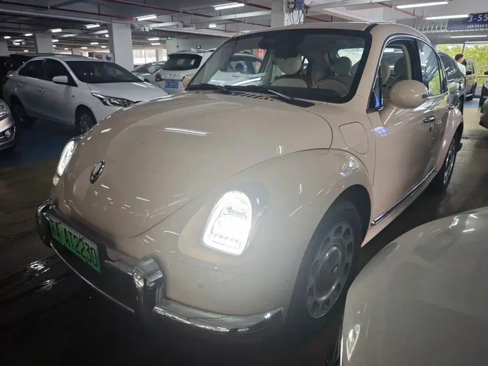 ORA Ballet Cat 401km Premium Model 2024