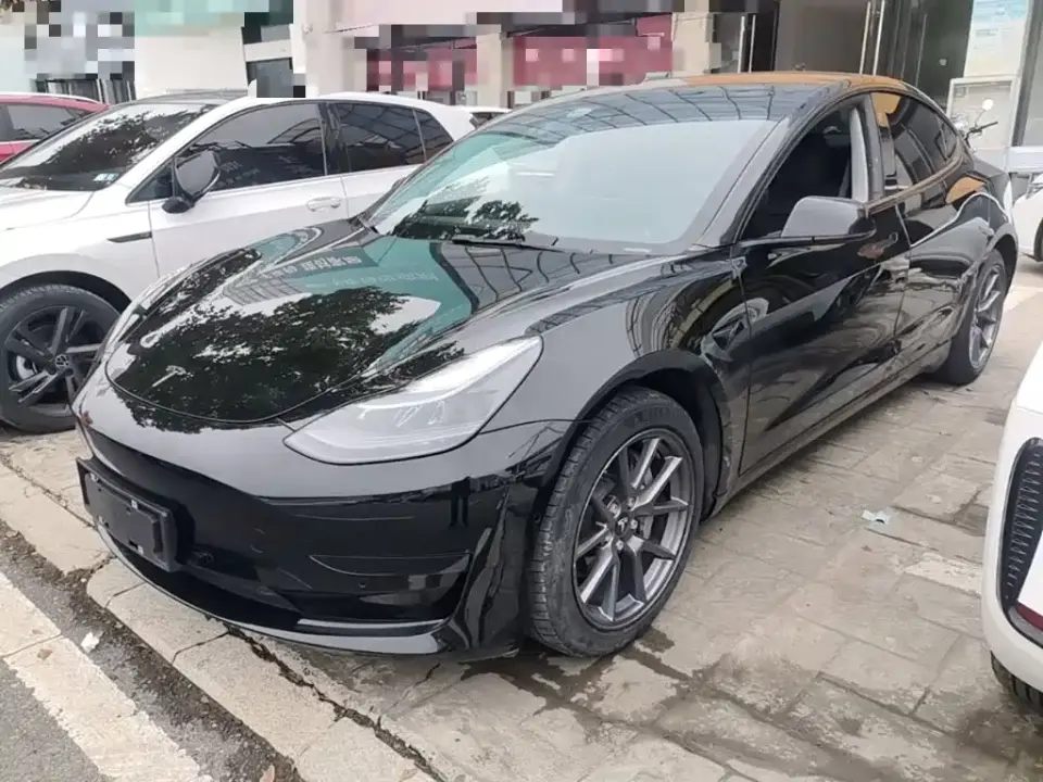 Tesla Model 3 Model Rear-Wheel Drive Version 2023