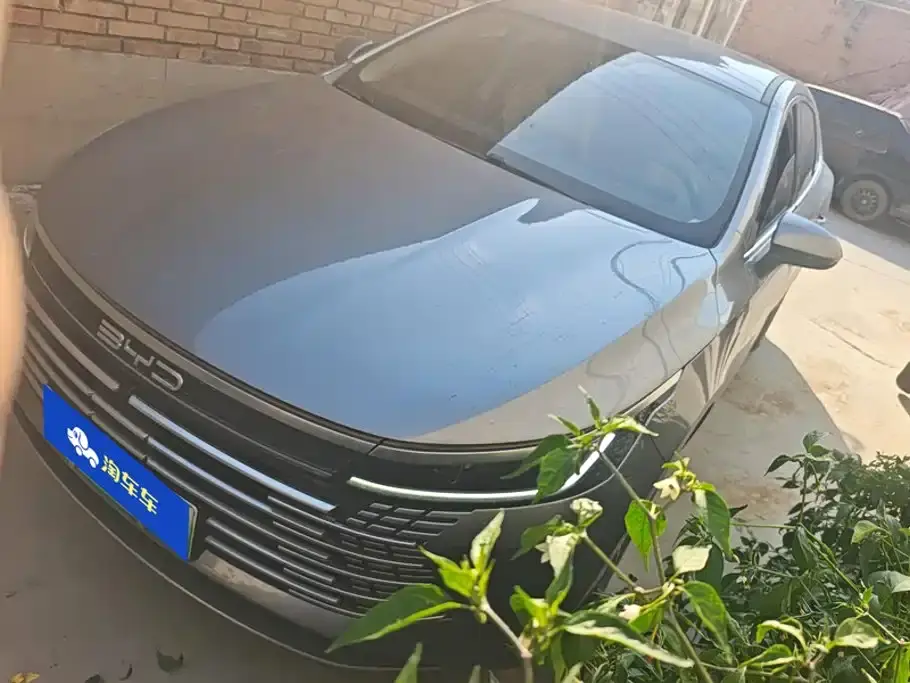BYD Destroyer 05 Glory Edition DM-i 55KM Luxury 2024