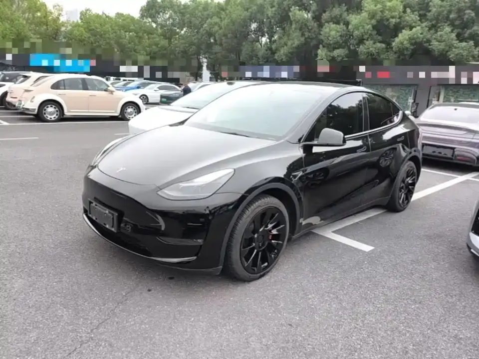Tesla Model Y Standard Range Rear-Wheel Drive 2021