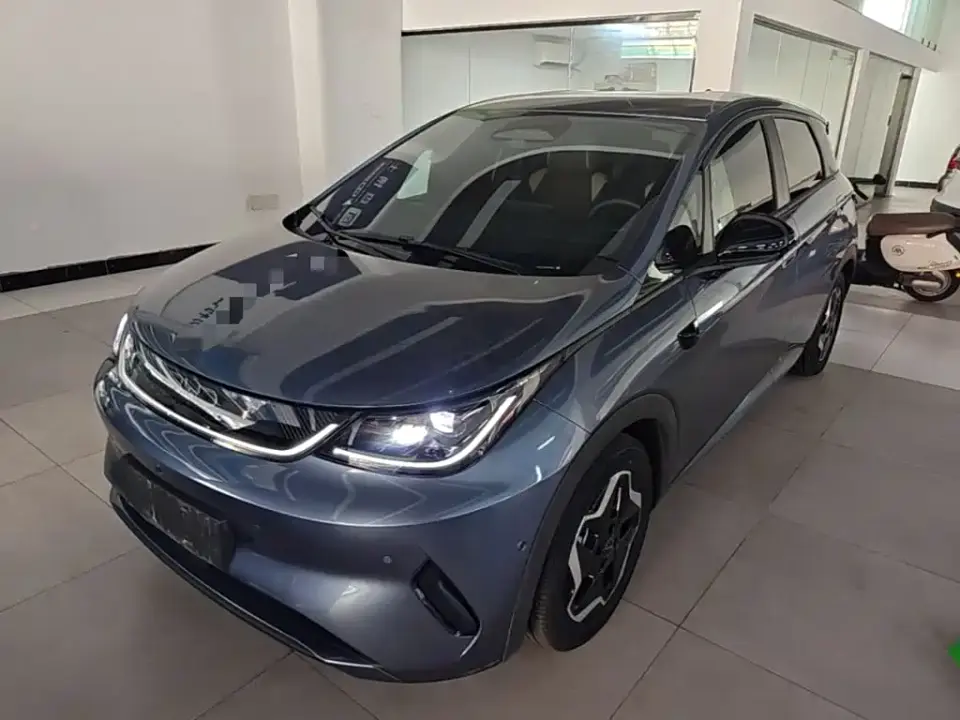 BYD Dolphin Smart Drive Edition 420km Freedom Version 2025