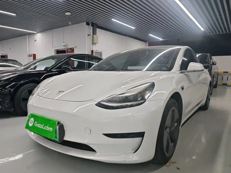 Tesla Model 3 (Import) Standard Range RWD Upgraded Edition 2019