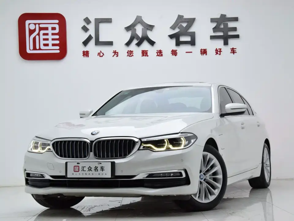 BMW 5 Series New Energy 530Le Luxury Package 2019