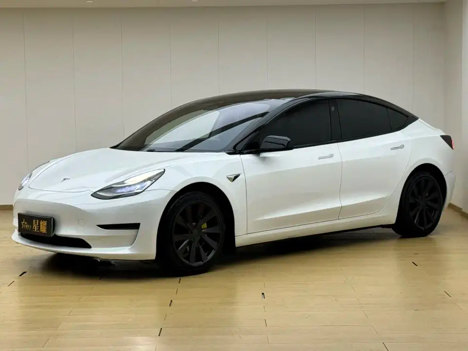 Tesla Model 3 (Import) Long Range RWD Version 2019