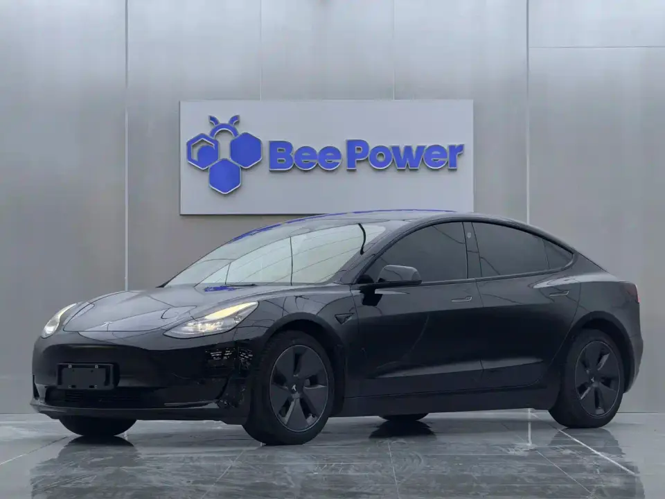 Tesla Model 3 Model Rear-Wheel Drive Version 2022