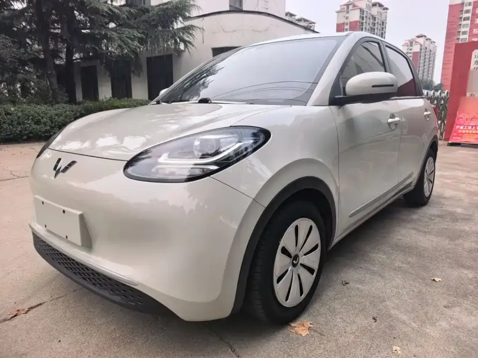 Wuling Motors Wuling Bingo Model 203km Lite Enjoyment Edition 2023