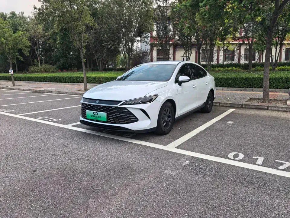 BYD Qin PLUS DM-i Smart Drive 55KM Leader 2025