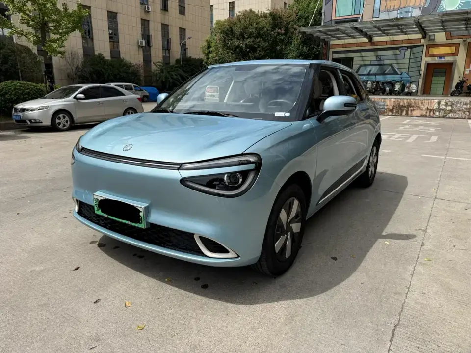 Dongfeng Yipai Nano 01 330 Driving Training Edition 2025
