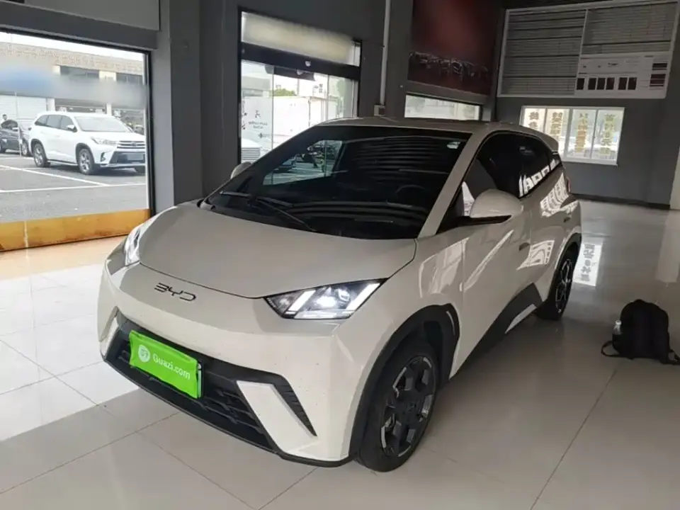BYD Seagull 405km Soaring 2024