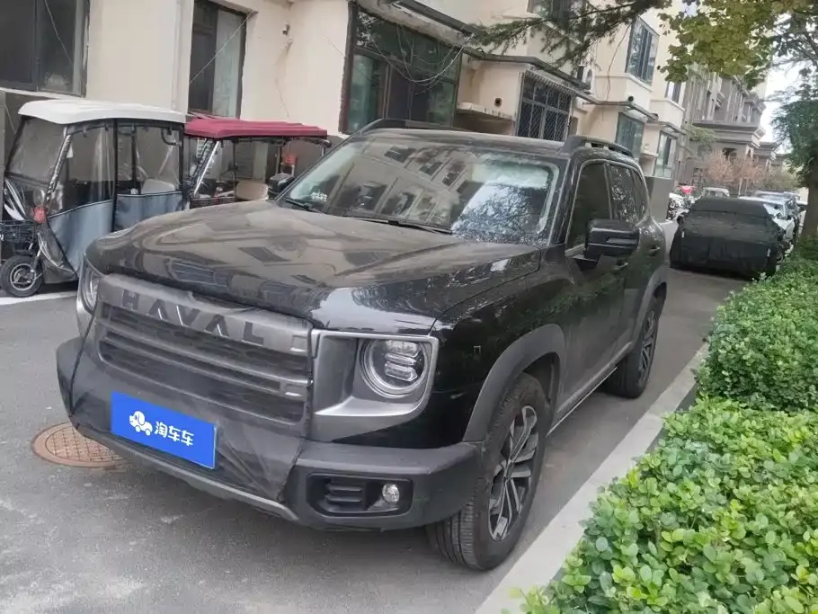 Haval Big Dog 1.5T DCT Border Collie Edition 2025