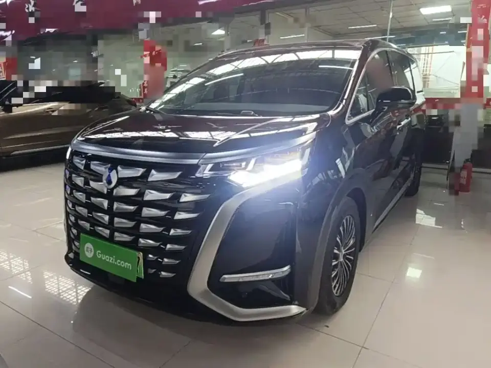 Denza D9 DM-i 980 AWD Premium 2025