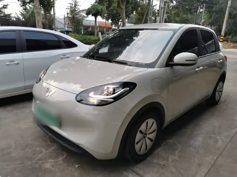 Wuling Motors Wuling Bingo 333km Quick Enjoy Version 2024
