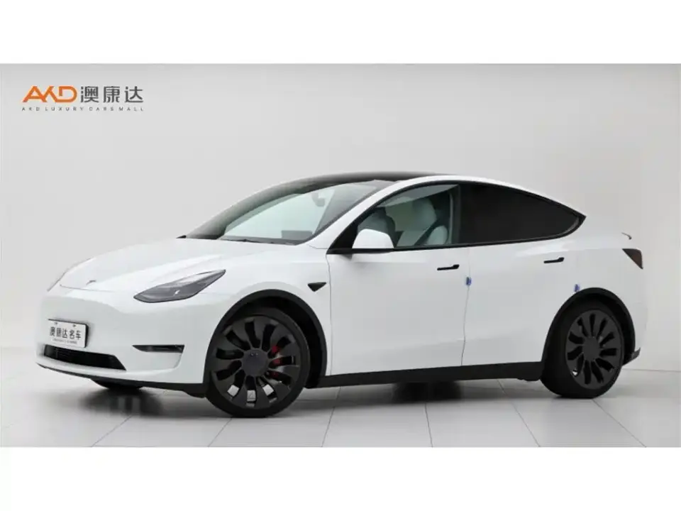 Tesla Model Y Performance High-Performance All-Wheel Drive Version 2022