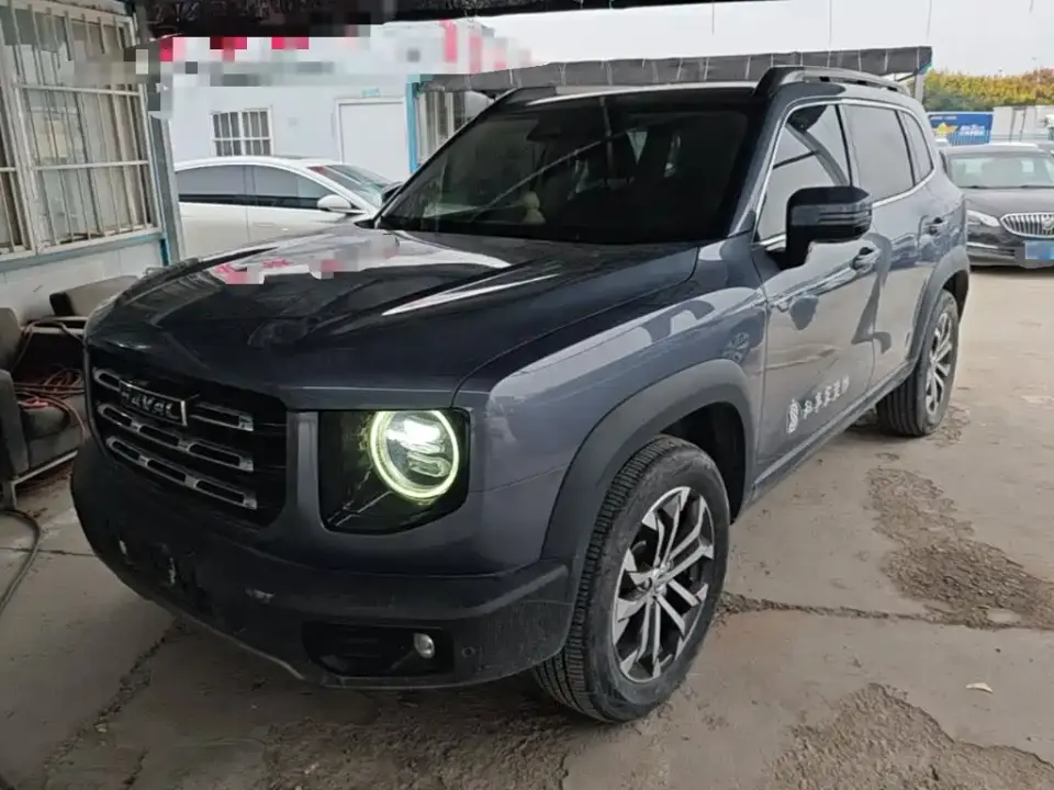 Haval Big Dog 1.5T DCT 2WD Border Collie - Wangcai Edition 2021