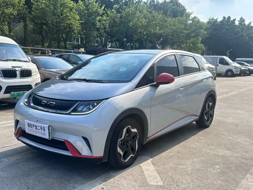 BYD Dolphin Model 405km Fashion Edition 2022