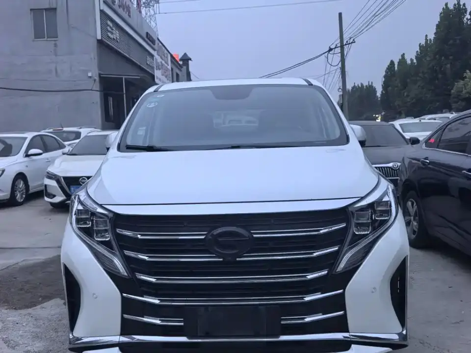 GAC Trumpchi M8 Leading Show Series 390T Ultimate Edition 2020