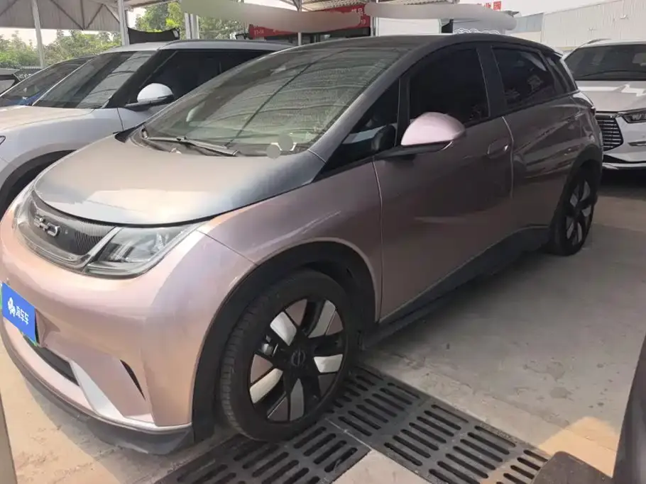 BYD Dolphin 401km Knight Edition 2022