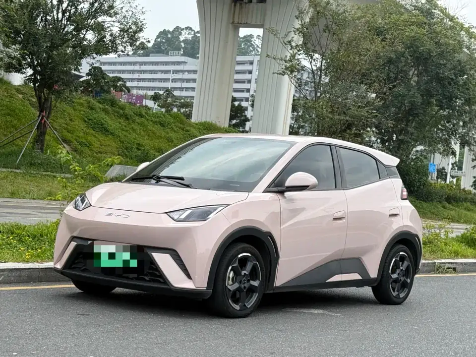 BYD Seagull Freedom Edition 2023