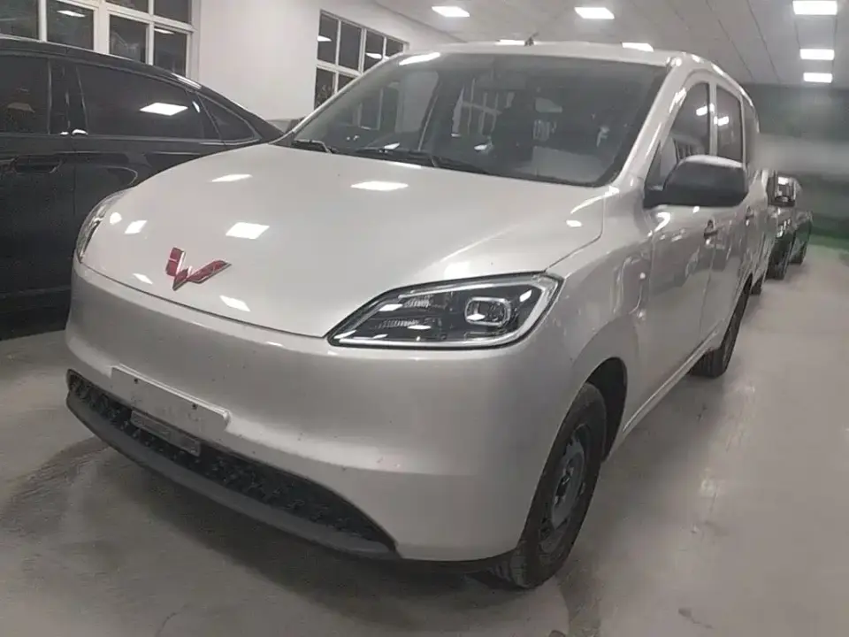 Wuling Motors Wuling Hongguang New Energy Model Pure Electric 300KM Utility Version 2024