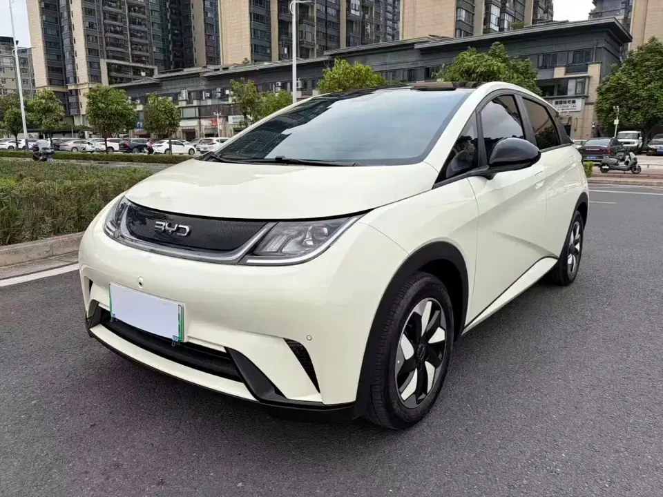 BYD Dolphin Glory Edition 420km Fashion Edition 2024
