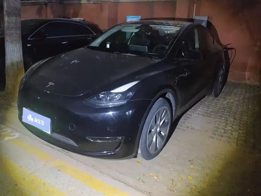 Tesla Model Y Standard Range Rear-Wheel Drive 2021