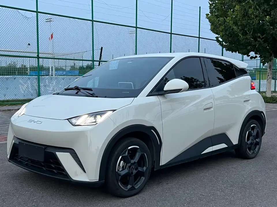 BYD Seagull Freedom Edition 2023