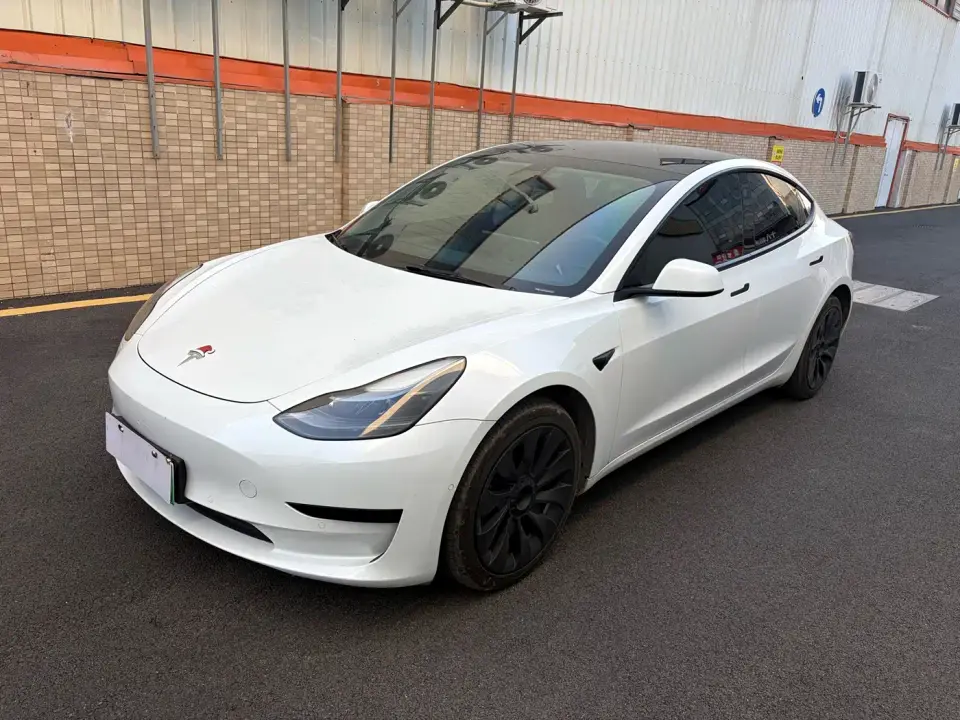 Tesla Model 3 Standard Range Rear-Wheel Drive Upgrade 3D6 2021
