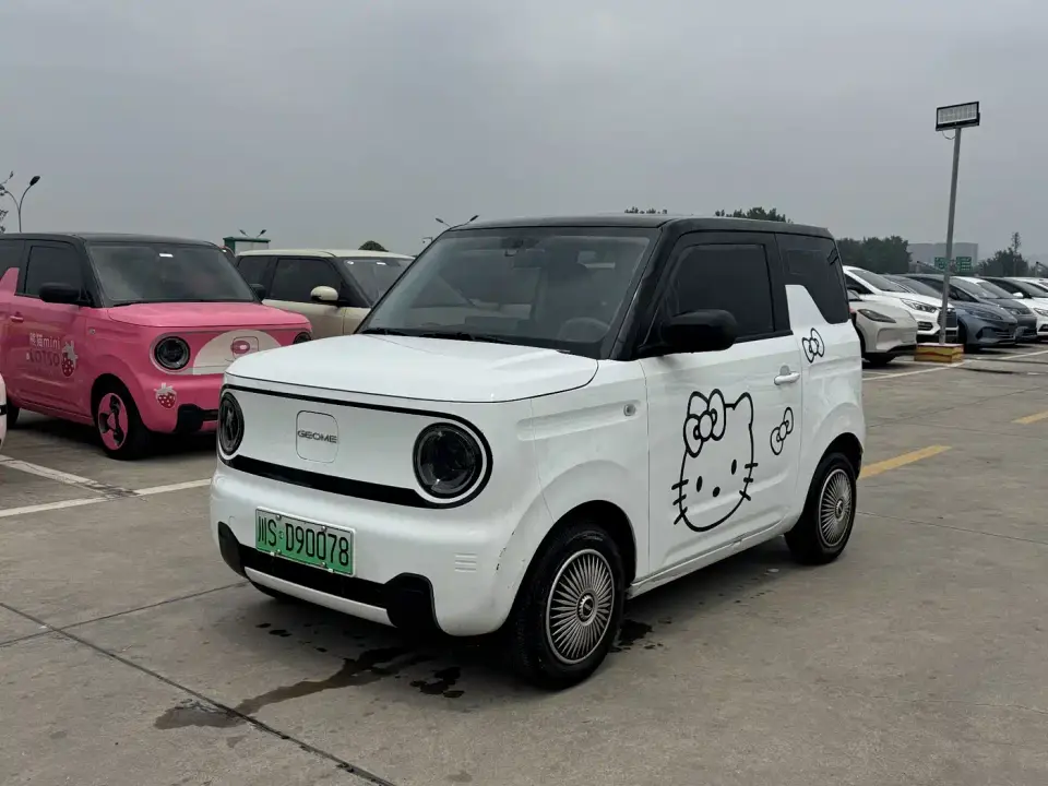 Geely Galaxy Panda Panda mini 200km Endurance Bear 2024