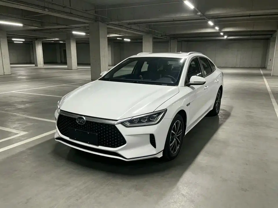 BYD e2 Luxury Edition 2021