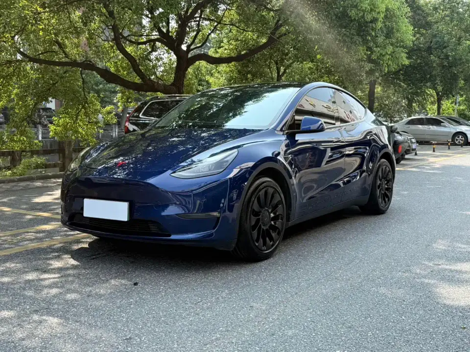 Tesla Model Y Long Range All-Wheel Drive 3D7 2021