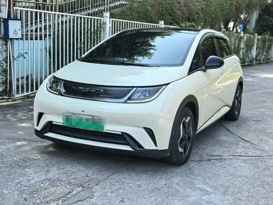 BYD Dolphin Model 405km Fashion Edition 2023