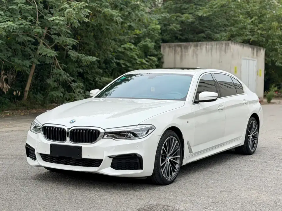 BMW 5 Series 530Li Leading M Sport Package 2020