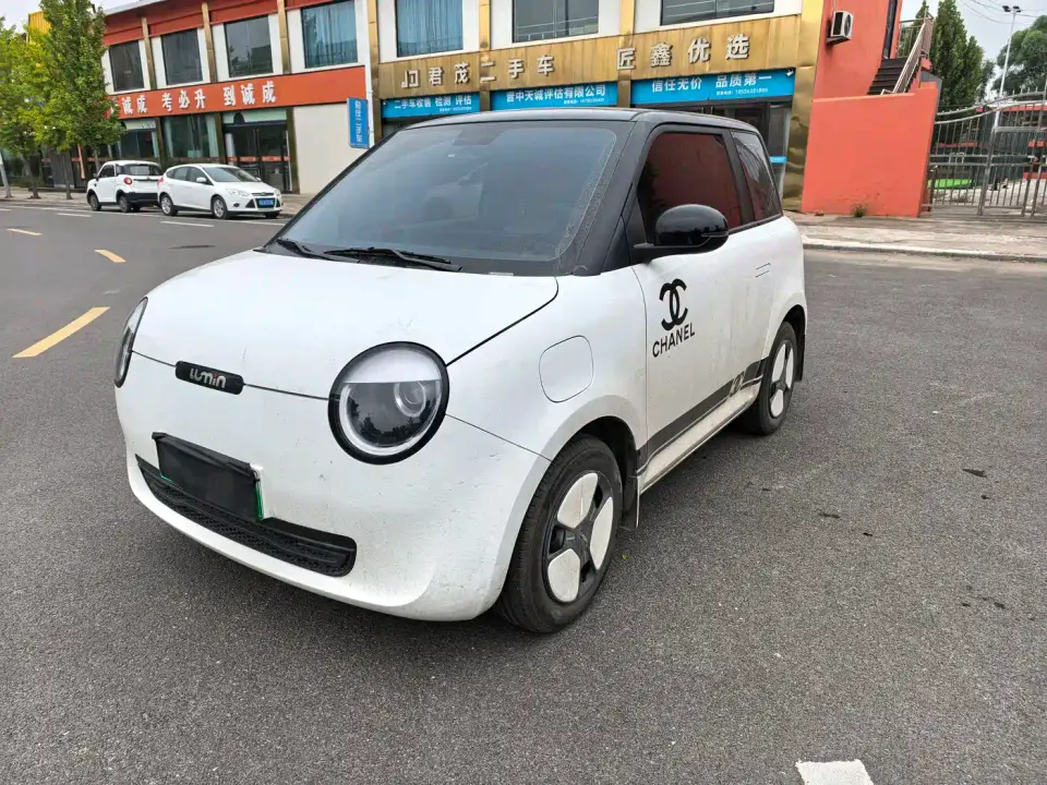Changan Qiyuan Changan Lumin Model 301km Honey Edition 2024