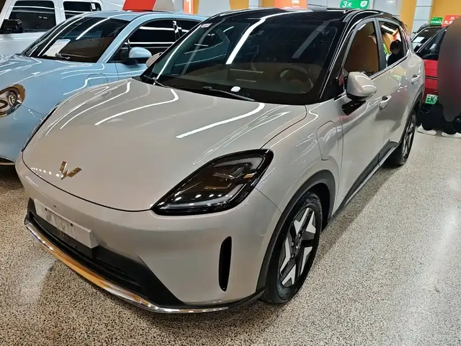 Wuling Motors Wuling Bingo S Model 325km Premium Edition 2025