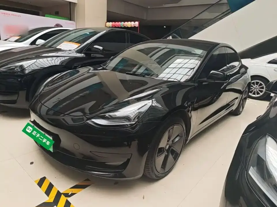Tesla Model 3 Model Rear-Wheel Drive Version 2022