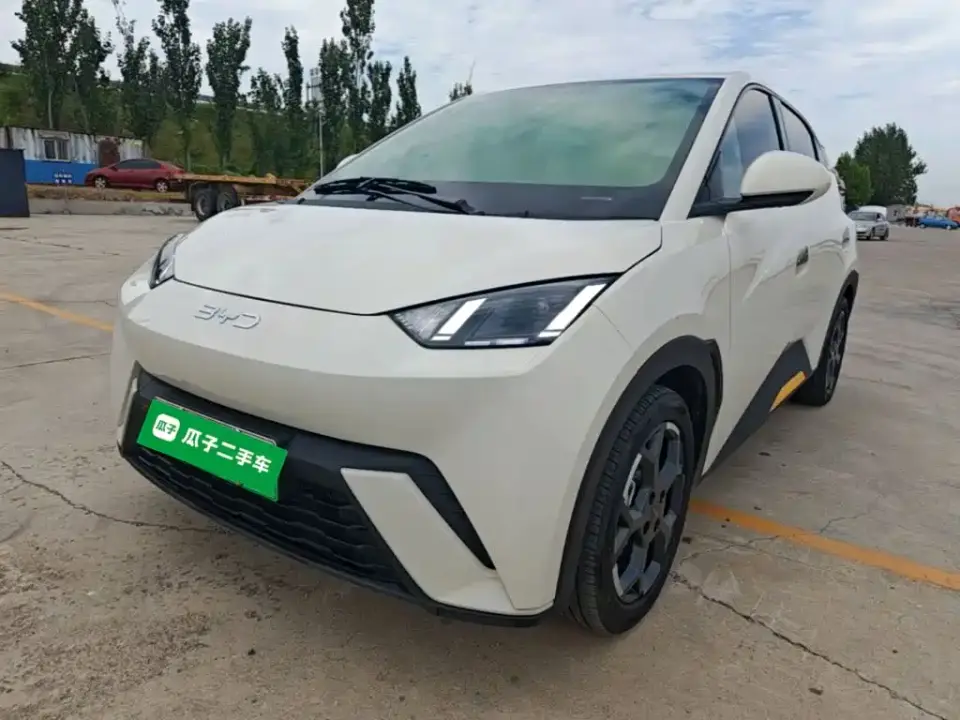BYD Seagull 305km Freedom 2024