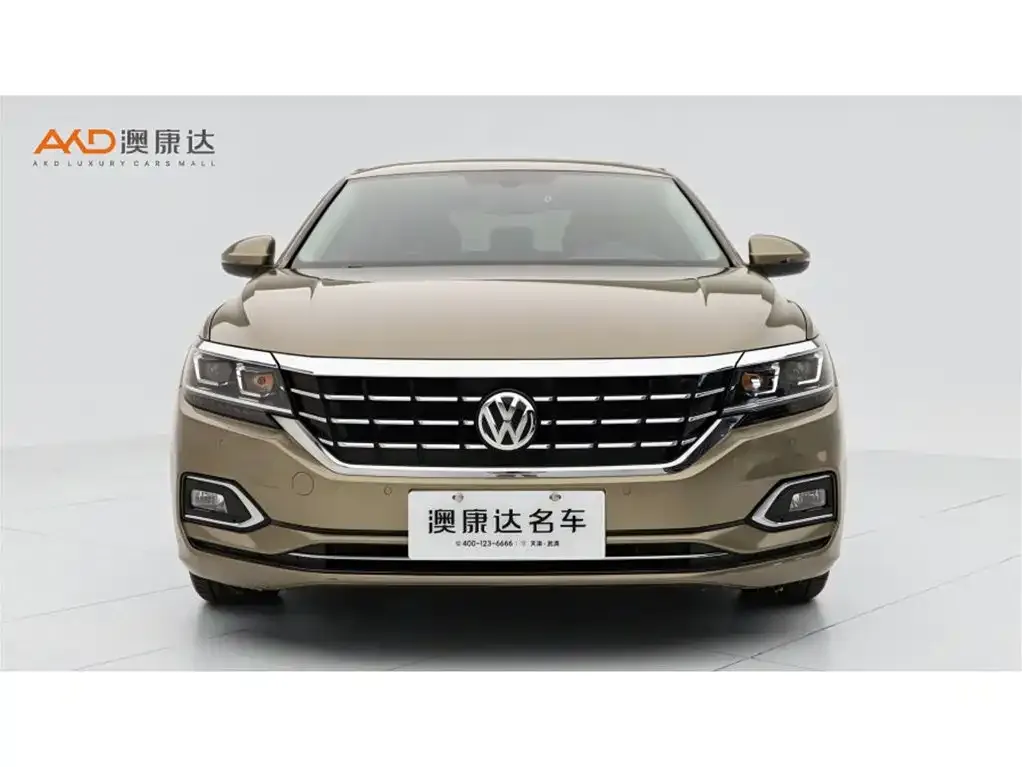 Volkswagen Passat 330TSI Elite (China V) 2019 — фото 2