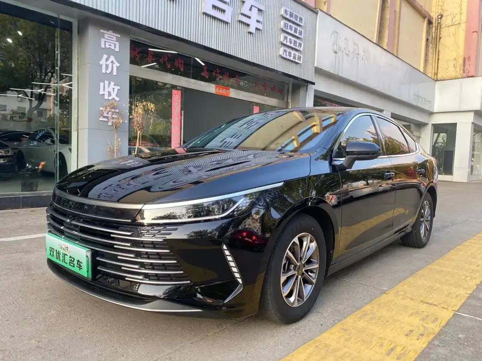 BYD Destroyer 05 Glory Edition DM-i 55KM Luxury 2024