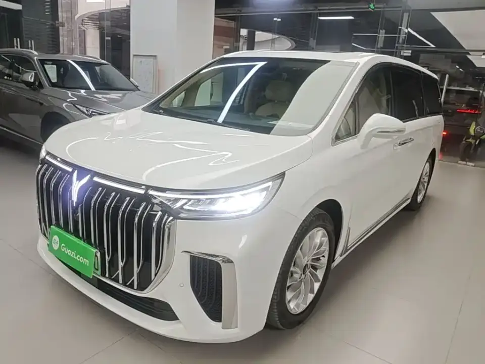 Voyah Auto Voyah Dreamer Low Carbon Edition Home 2024