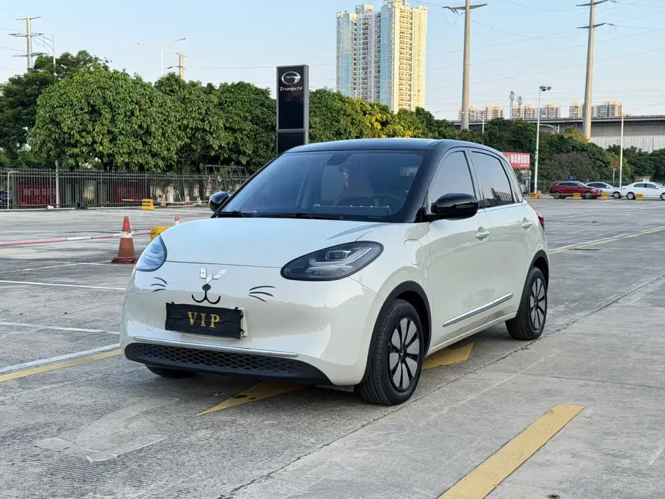 Wuling Motors Wuling Bingo 410km Lingxi Premium Edition 2024