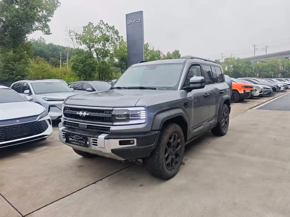 Fangchengbao Leopard 5 Yun Nian Flagship Edition 2024