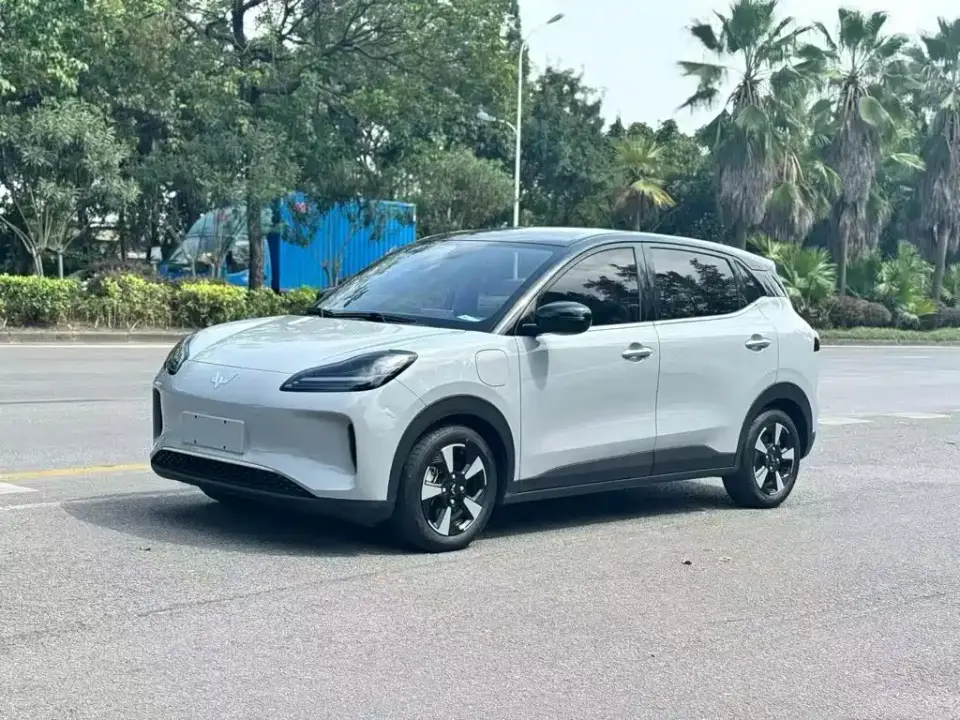 Wuling Motors Wuling Binguo PLUS 401km Range 5-seater 2024