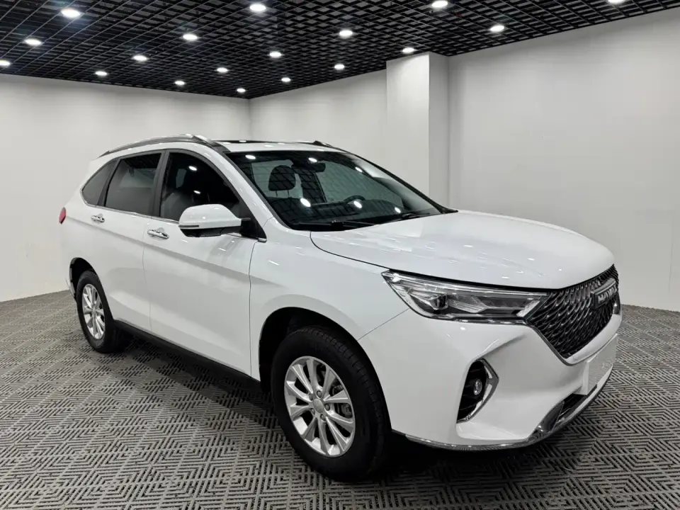 Haval M6 PLUS 1.5T Manual Liu Yan Co-branded Edition 2023