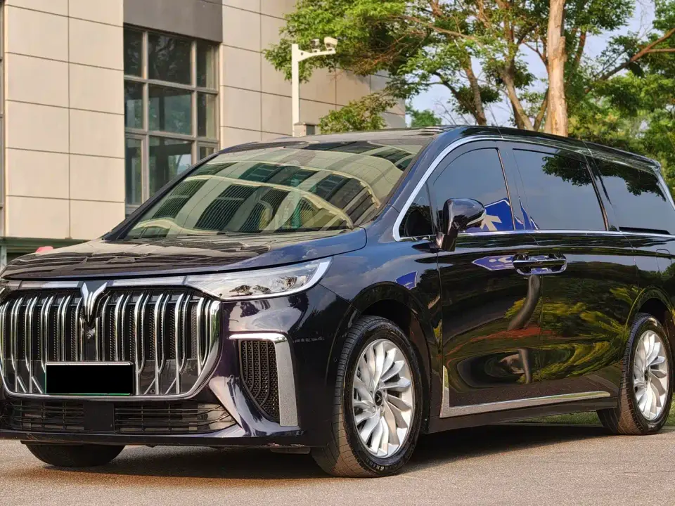 Voyah Auto Voyah Dreamer Low-carbon Edition Think+Smart Driving Package 2022
