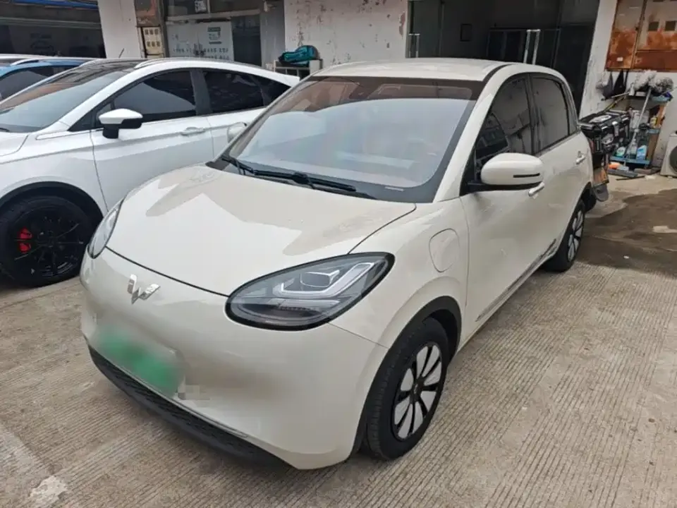 Wuling Motors Wuling Bingo Model 333km Joy+ Version 2023