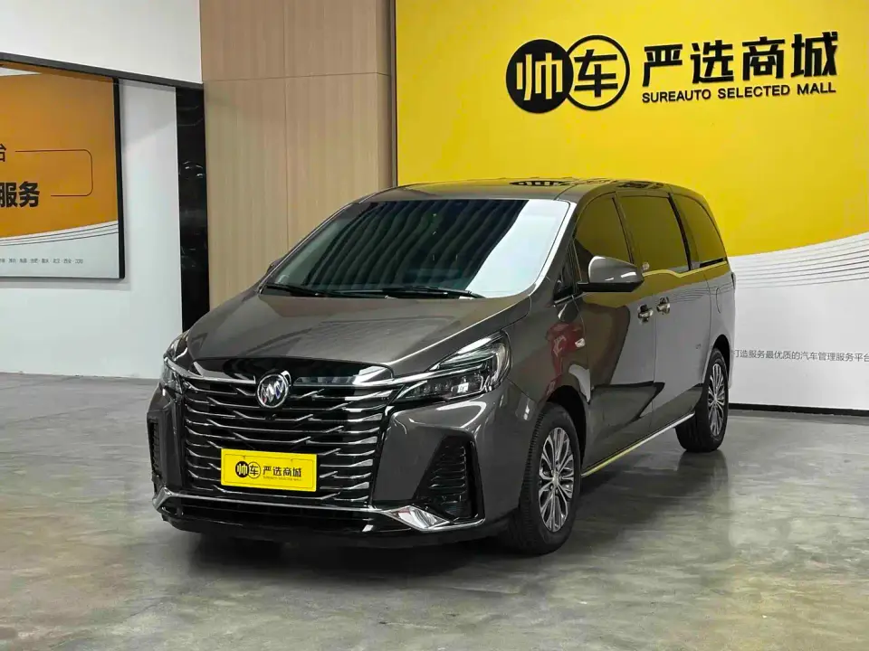 Buick GL8 Land Business Class 652T Luxury 2024