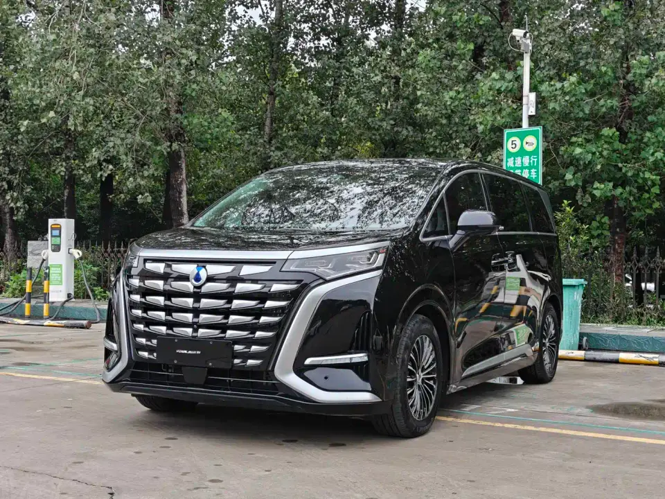 Denza D9 DM-i 970 AWD Flagship 2024