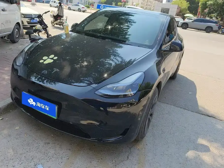 Tesla Model Y Rear-Wheel Drive Version 2024