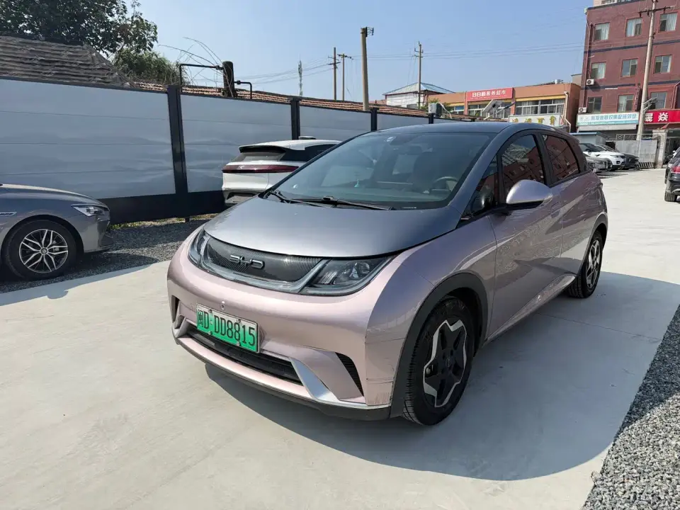 BYD Dolphin Model 405km Fashion Edition 2022